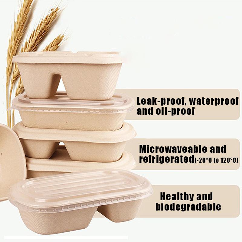 10/50 Stück Ovale Zuckerrohr Bagasse Boxen Umweltfreundliche Biologisch Abbaubare Lebensmittelbehälter mit PET-Deckel