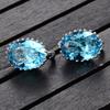 Women Elegant Blue Earring Exquisite All-match Zircon Ear Studs