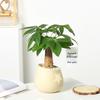 Nordic Ceramic Orchid Vase - Light Luxury Style for Small Plants