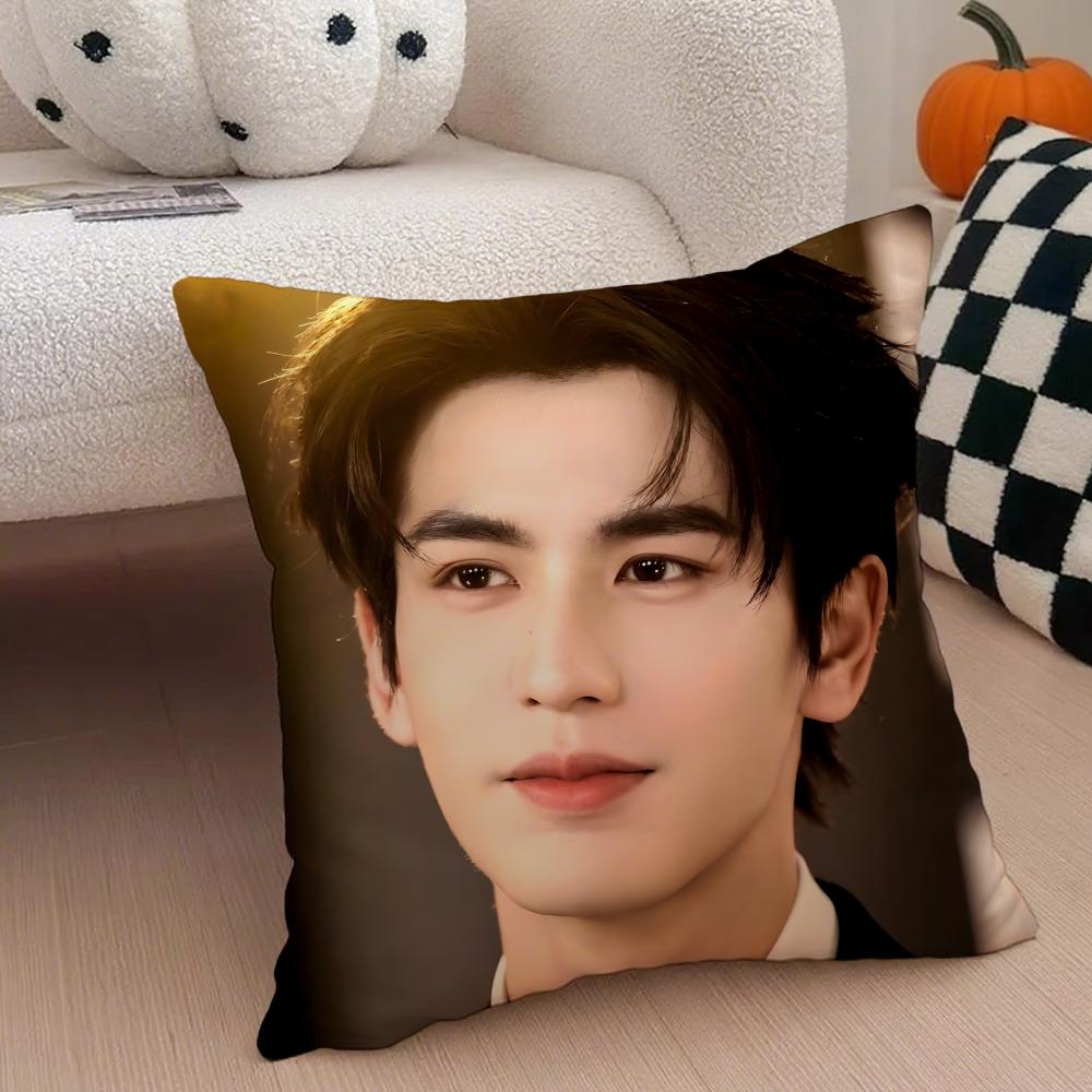 Handsome Versatile Chinese Actor ZZhangLingHe Cushion Cover Throw Pillow Cover Hidden Button Durable Polyester Chair Cushion