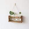 Heart Shape Glass Vases Propagation Station For Indoor Hydroponics Planter Plant Terrarium With Wooden Stand Home Decors