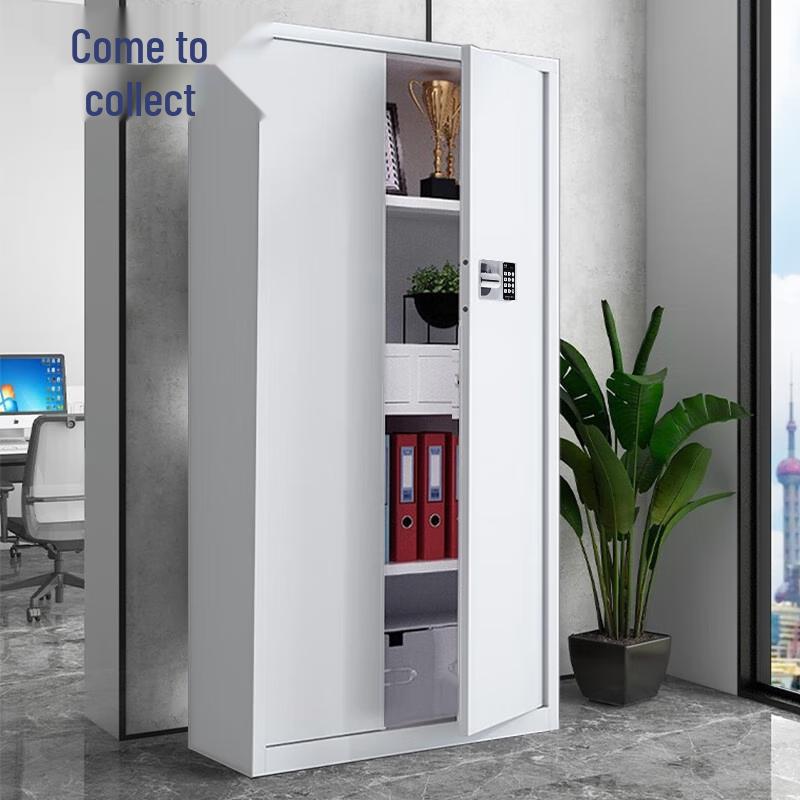 Laicai Secure Filing Cabinets & Safes