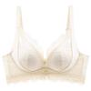 Gather Small Breasts and Show Big Upper Support To Prevent Sagging, Close Secondary Breasts, Flat Chest Special Sexy Lace Bra Cover Set