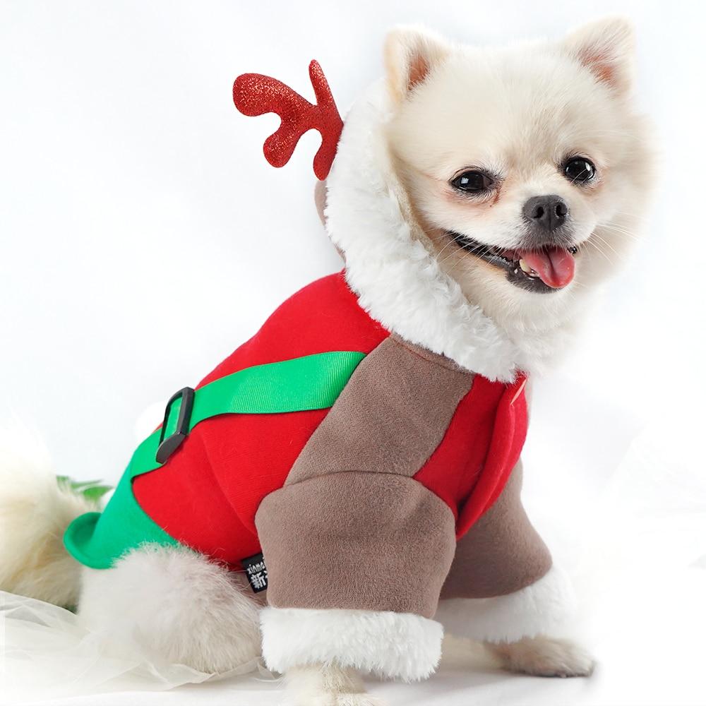 chihuahua christmas outfits