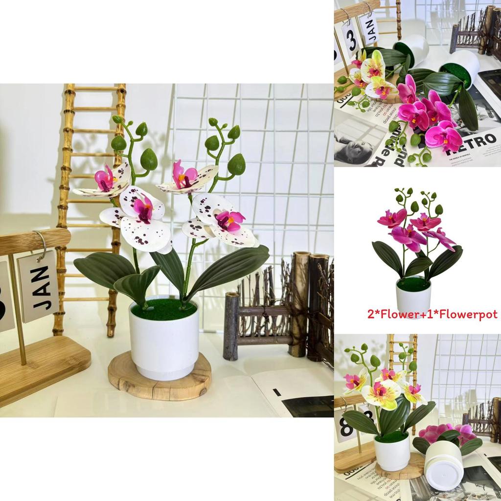 Butterfly Orchid Decorative Plant With 3d Film In Multiple Colors For Home And Event Decoration