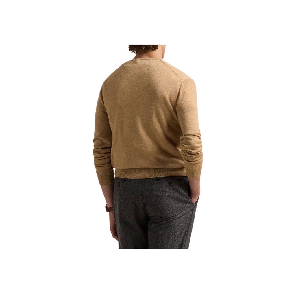 Polo Ralph Lauren Wasbare Wol V-Hals Pullover Heren trui 710941105-009