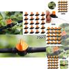 Convenient Micro Irrigation Connector Suitable For 4/7 Micro Tubes Simple Connection