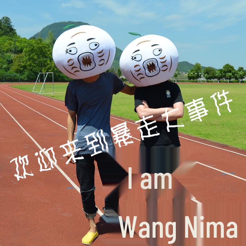 

Ярость Ван Нимы Головной убор: Мэри Костюм Талисмана Мультфильма Standard белый