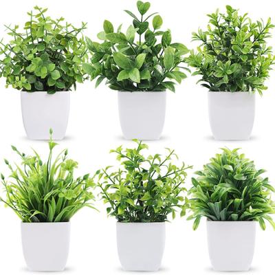 Useful Simulation Potted Plants Non Wither Durable Photography Prop