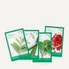 Innisfree mask, soothing, moisturizing, dry skin, combination skin, normal skin, 20 pieces/40 pieces Green Tea Energy Mask-10 pieces/box2