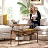Lift Top Coffee Table With Storage Rustic Brown