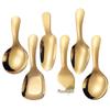 304 Stainless Steel Mini Spoon: Small Children's Ice Cream, Dessert, Short Handle Tea Spoon with Square and Pointed Heads.