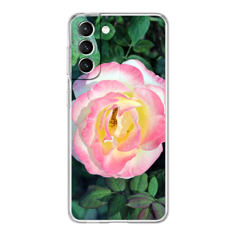 

Rose Flowers Botanic Phone Case For Samsung Galaxy S22 5G S20 Ultra S21 FE 5G S10E S9 S8 S10 Plus Note 20 10 Clear Back Cover Note 10 Plus
