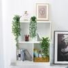 Artificial String of Pearls Vine: Cross-Border Hanging Green Plant for Home and Living Room Décor