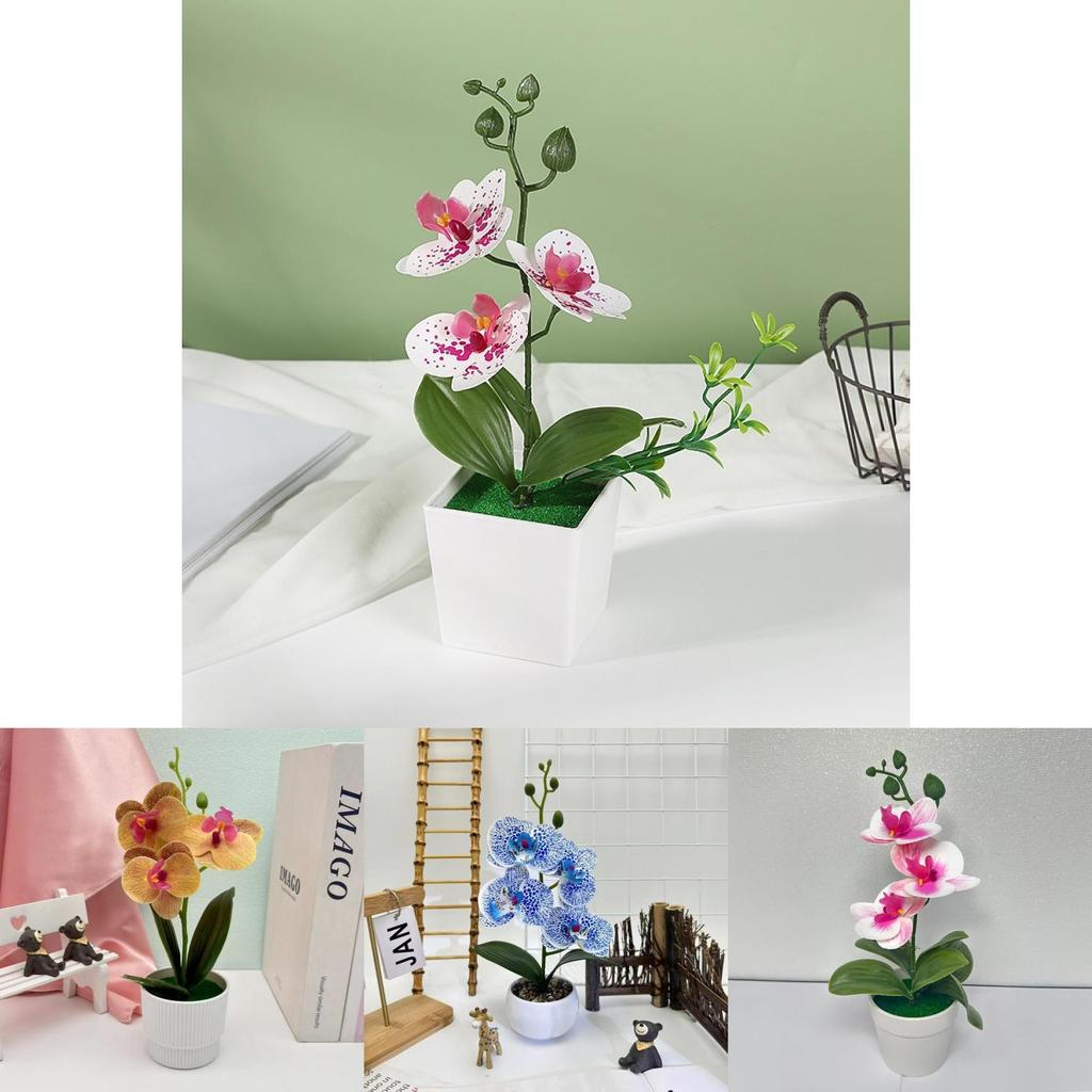 Butterfly Orchid Artificial Plant With 3d Printing For Home Decor And Photography Props