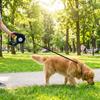 Plastic LED Dog Leash With Garbage Bag Puppy Traction Belt Pet Traction Rope  Small Dogs