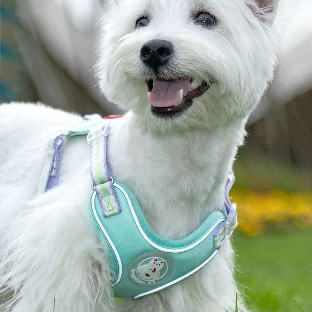 Reflective Dog Harness Vest Breathable Cat Strap Pet Chest Harness Vest For Small Medium Dog Cat