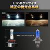 KOZATO Fog Lamp, H8 LED, 2 Color Switching, H9, H11, H16 (Domestic Cars), LED