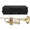Trumpet Standard Bb Brass with Gloves Wiping Cloth Musical Instrument Equipment