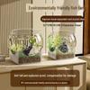 Shatterproof Plastic Fish Tank for Small Living Room or Office Landscapes