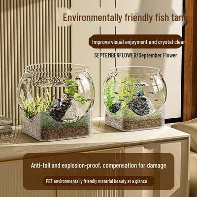 Shatterproof Plastic Fish Tank for Small Living Room or Office Landscapes