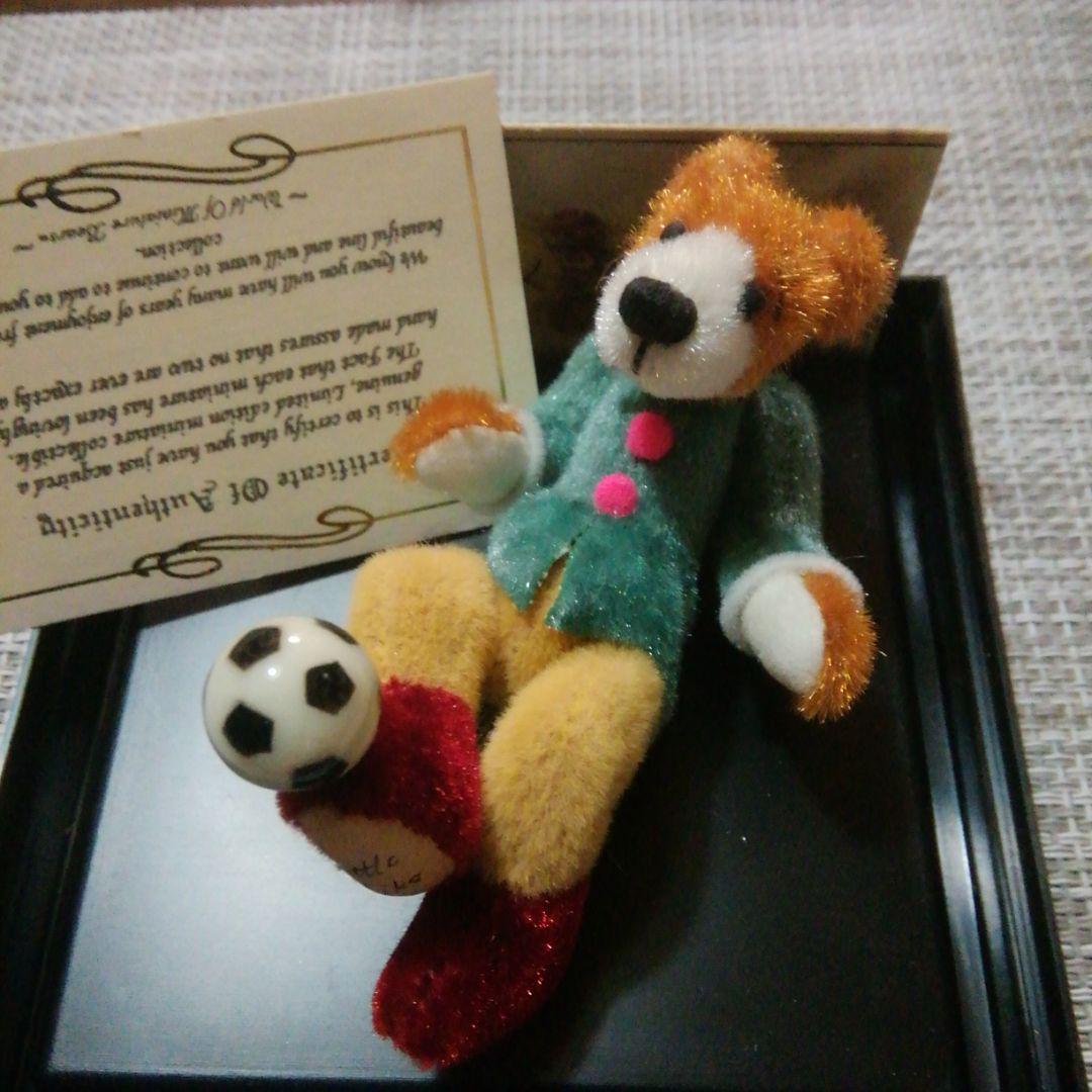 

[USED] Teddy Bear (Soccer) Limited Quantity