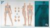 Toys & Hobbies [TOYBARJAPAN] TUNSHI STUDIO TS-FB-002 B Small Bust Female Body for 1/12 Action Figures