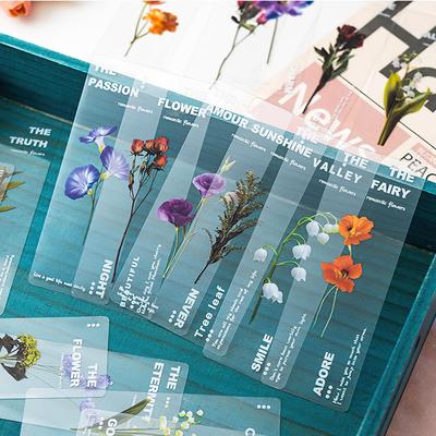 Conjunto de 6 Marcadores de Livro em PVC Plants Whisper Plantas da Natureza Flores Marcador Transparente Porta-Notas de Página Escola Leitura Presente