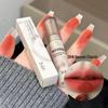 DI&XI Soft Mist Mousse Lip Mud: Matte, Long-lasting, High Pigment Lipstick for Women