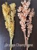 Rich Noble Leaf Dried Panda Bamboo Flowers - Photography Props for Weddings, Living Room, or Hotel Decorations