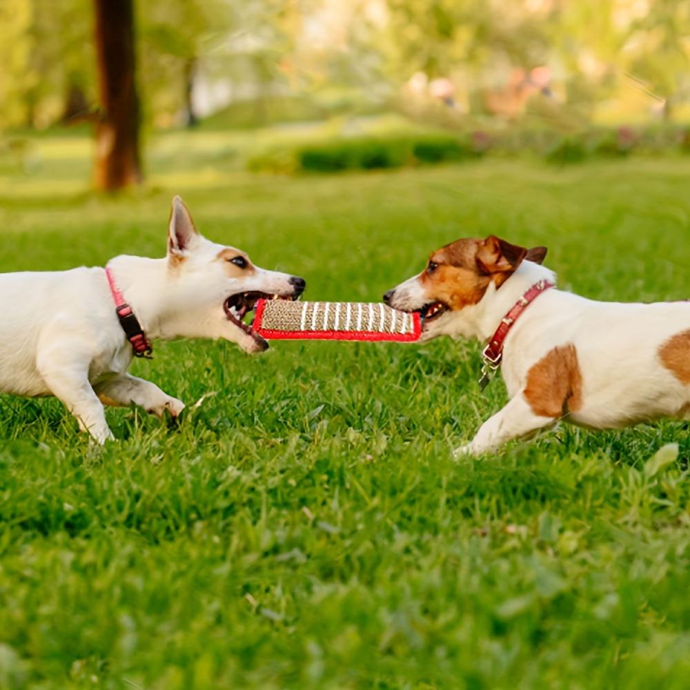Strapazierfähiges Jute-Kauspielzeug für Hunde - Bissfester Zahnungsstab für Welpen & erwachsene Hunde, Natürliche Zahnpflege für Haustiere