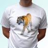 Tiger Kids Boys T-Shirt Tee Top Wild Cat Tigris Animal Gift Design S S Kids Sizes