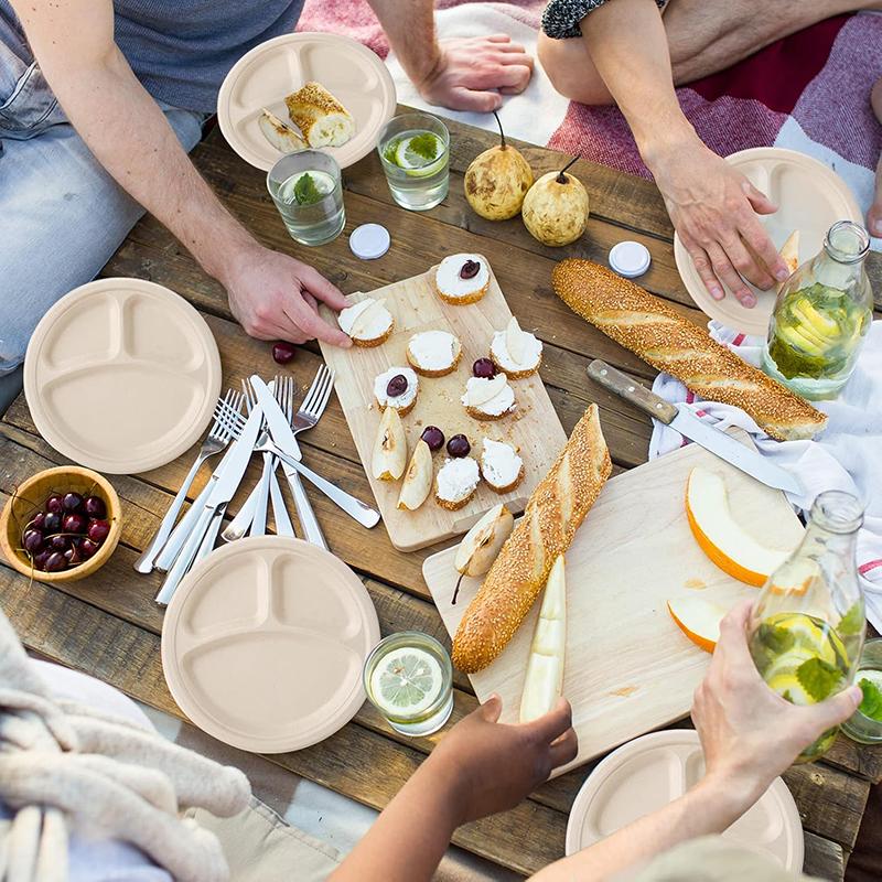 10/30Pcs Compostable 3 Compartment Plates, 8.85 inch Disposable Paper Plates, Eco-Friendly Biodegradable Bagasse Tray for Dinner