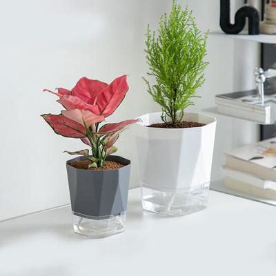 Atmungsaktive Löcher, sichtbarer Wasserstand, Blumentopf, faul, automatischer wasserabsorbierender Blumentopf, Gartenbedarf