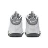 Nike Air Foamposite One Light Smoke Grey GS Sneakers CU1054-001