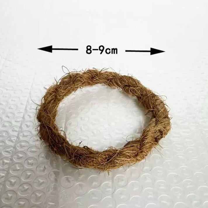 Set di ciotole e cucchiai in guscio di cocco lucidato a mano - Stile legno di cocco naturale