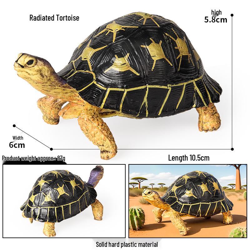Children's Cognitive Marine Animal Models: Sea Turtle and Tortoise Toys