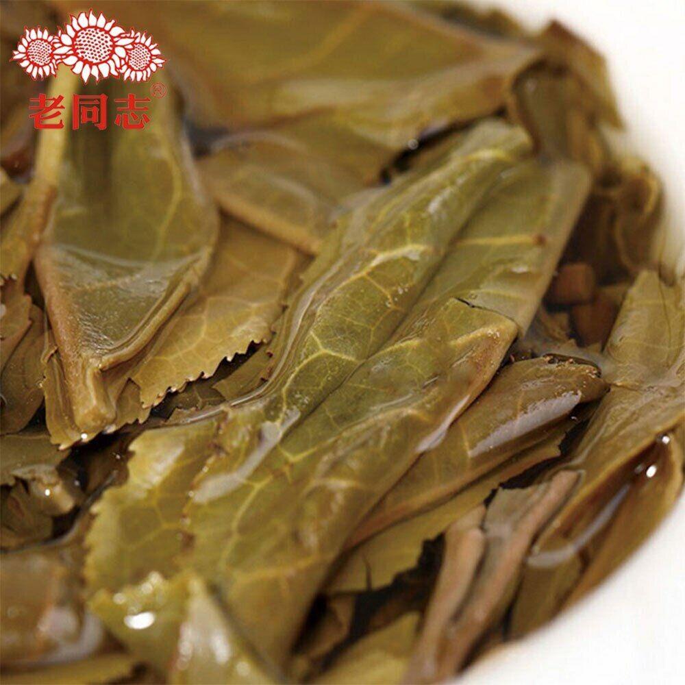 Chá Haiwan 2019 Sheng Puerh 9948 Lote 191 Chá Pu Erh Cru 357g