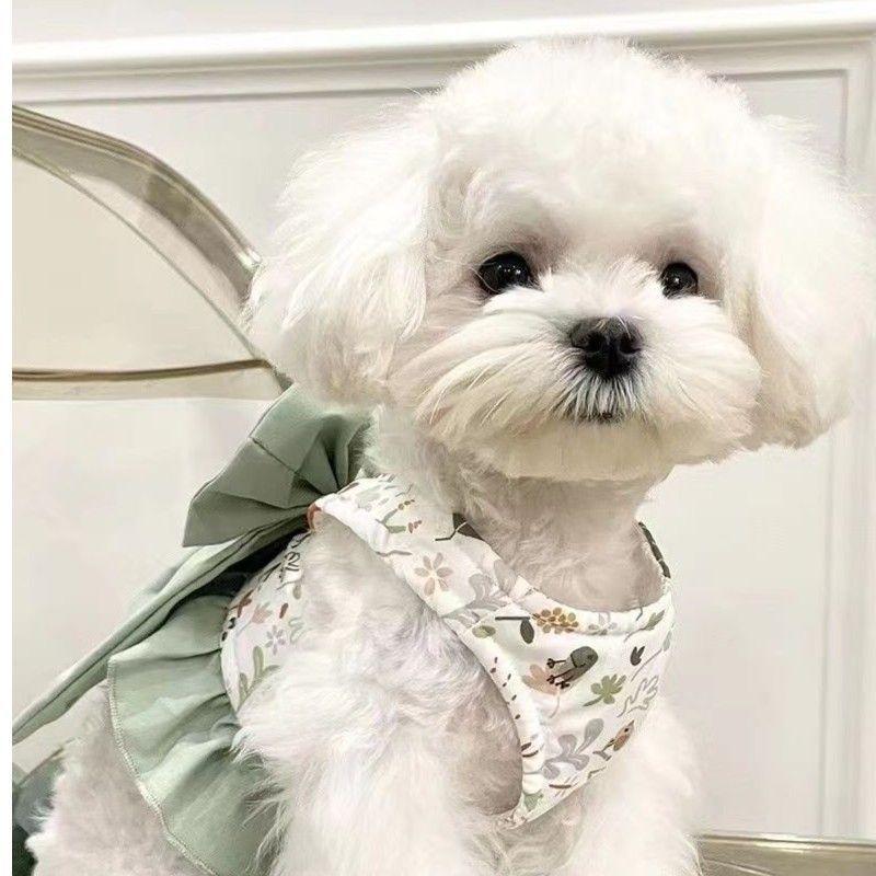 

Японский стиль Три-в-одном Уличная шлейка-жилет с поводком Бантик Стиль полужилета Собака Бишон Тедди Домашнее животное Кошка Подходит XXL Bust50-53Neck Circumf зелёный