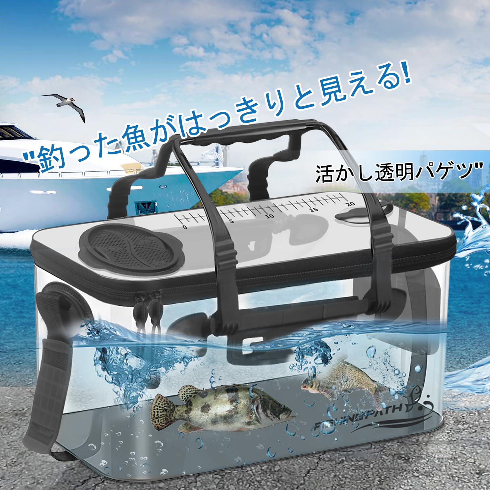 

FISHING PATH Fishing Bucket, Transparent [See Fish at a Glance], 45cm, with Spring Cover, Pump Holder, Non-Slip Bottom, Shoulder Strap, Foldable