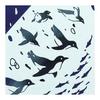 Miyamoto Towel Tenugui - Kaiyu Penguin - Chusen Dyed - Made in Japan - Blue - Approx. 35x90cm