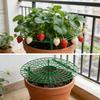 5sets High-Quality Strawberry & Small Vegetable Plant Stand/ Bed - Elevated Fruit Production with Harvestable Berries, Space-Saving Design Suitable