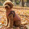 Veste d'hiver réglable pour chien Épaisse Réfléchissante Coton pour Chien Coupe-vent Chaude Manteau Duveteux pour Animal de Compagnie Marche Extérieure