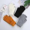 Korean Style Winter Touchscreen Gloves - Plus Velvet, Thick, Solid Color, Warm, Cycling Protection, Plush Pineapple Pattern