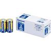 Alkaline Size Batteries, Evolta, C, 10-Pack