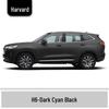 Haval H6 Cool Dog Touch-Up Pen, Black Spot & Ruixue White Scratch Repair Paint