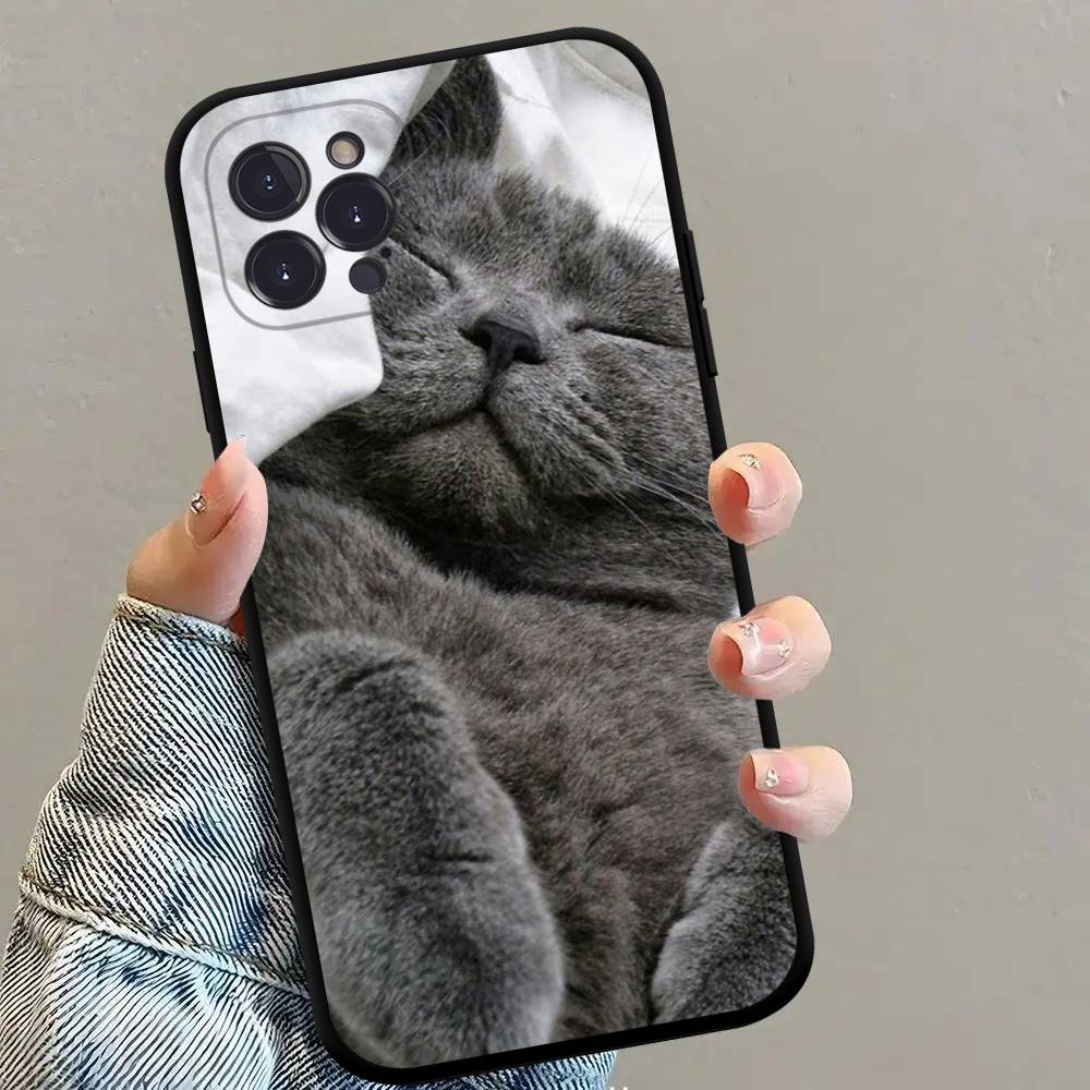 British shorthair cat Phone Case Black Soft Silicone TPU Phone Case For IPhone 11 12 13 14 15 16 17 Pro Plus Mini Max