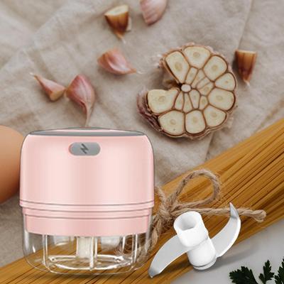Tragbarer Knoblauchschneider Gadget Wasserdichter Zerdrücker Lebensmittelhackmaschine Schneider USB-Schredder für