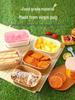 Disposable Bento & Takeaway Boxes with Lids