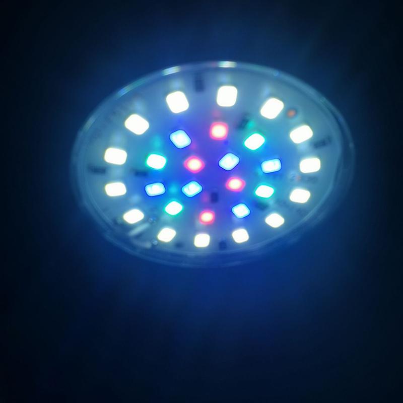 5V USB Aquarium Mini LED Vollspektrum blaue Lampe Aquarium Clip Licht Dekor Wasserpflanze wachsen Mehrere Modi Dimmbare Beleuchtung